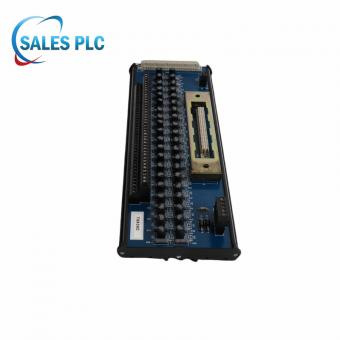 ICS TRIPLEX T8830C Analog Input Module