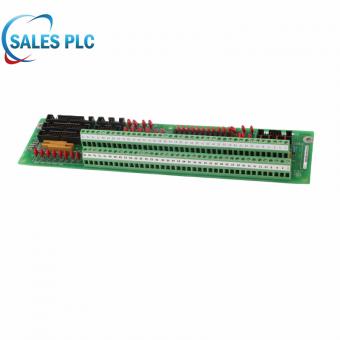 GE FANUC DS200TBQBG1ACB INPUT TERMINATION MODULE